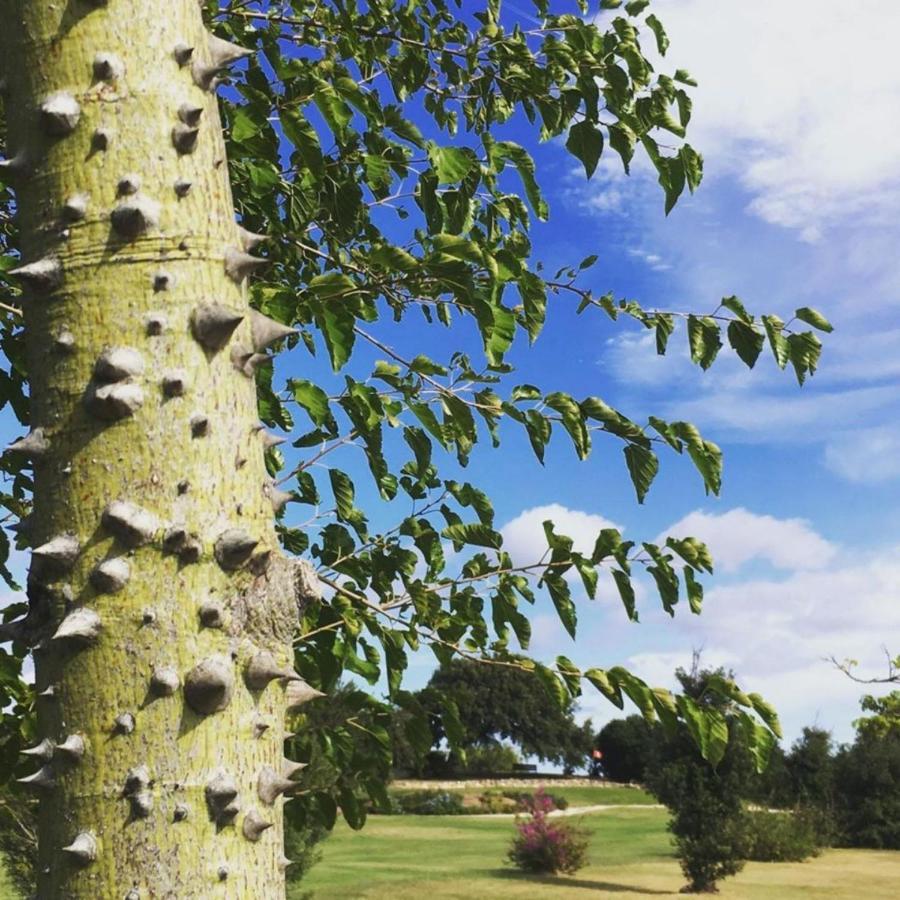 Sacuba Resort & Botanic Golf Club Olbia Ngoại thất bức ảnh